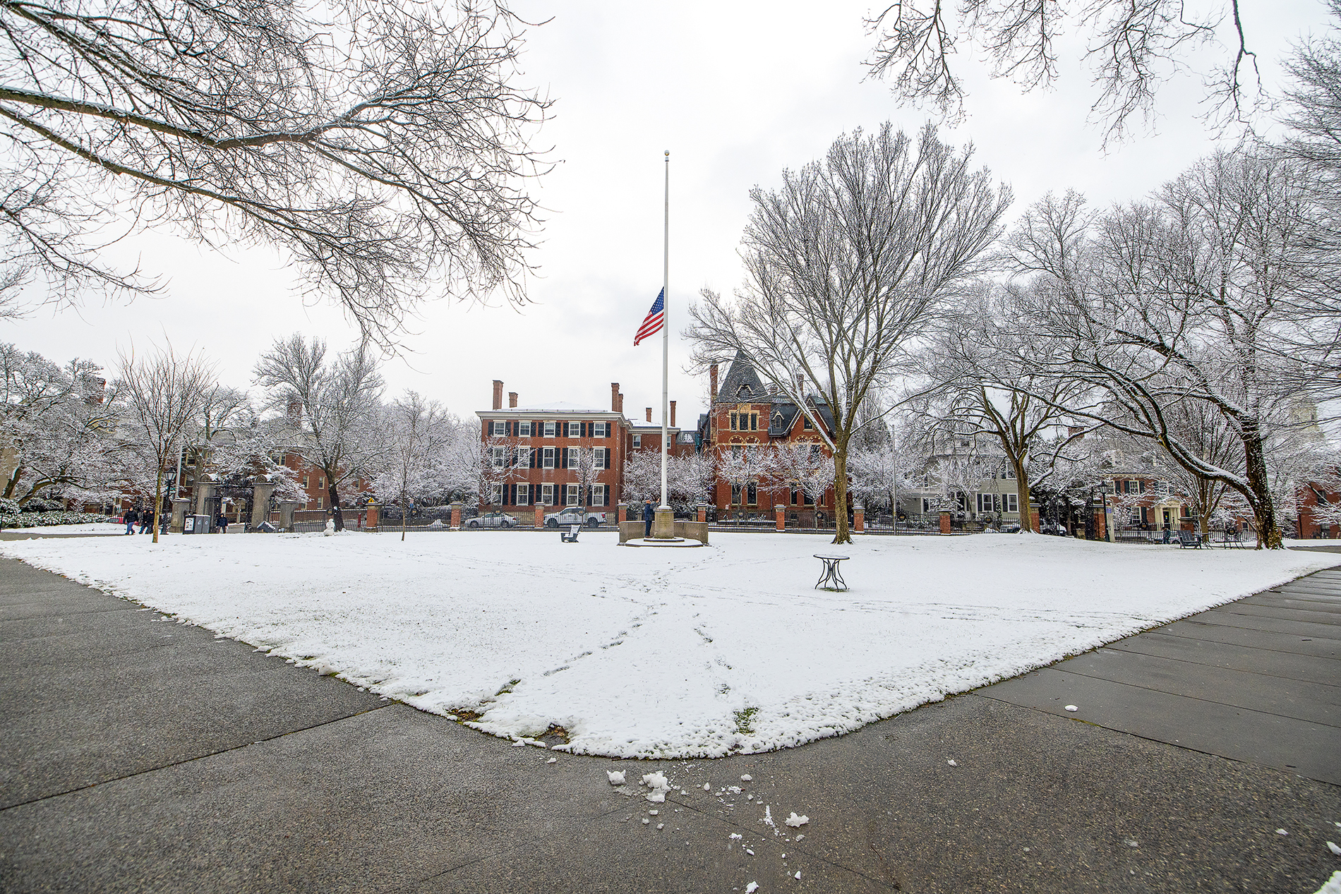 Flag being lowered to half nast on a snowy main green